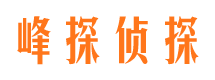 虞城外遇取证